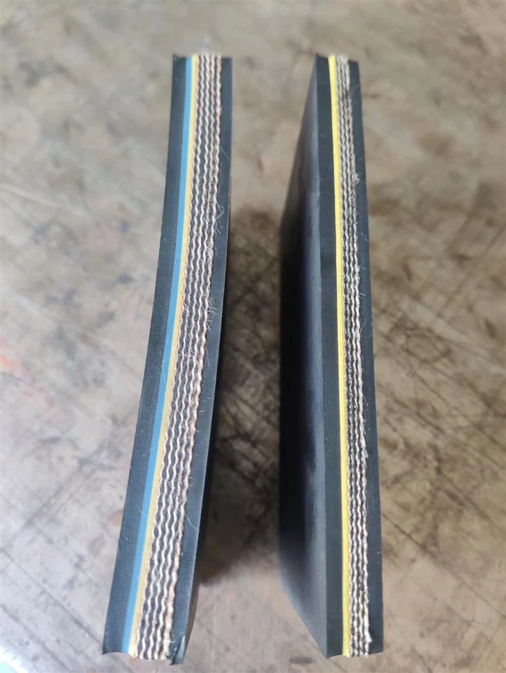EP Polyester Conveyor Belt